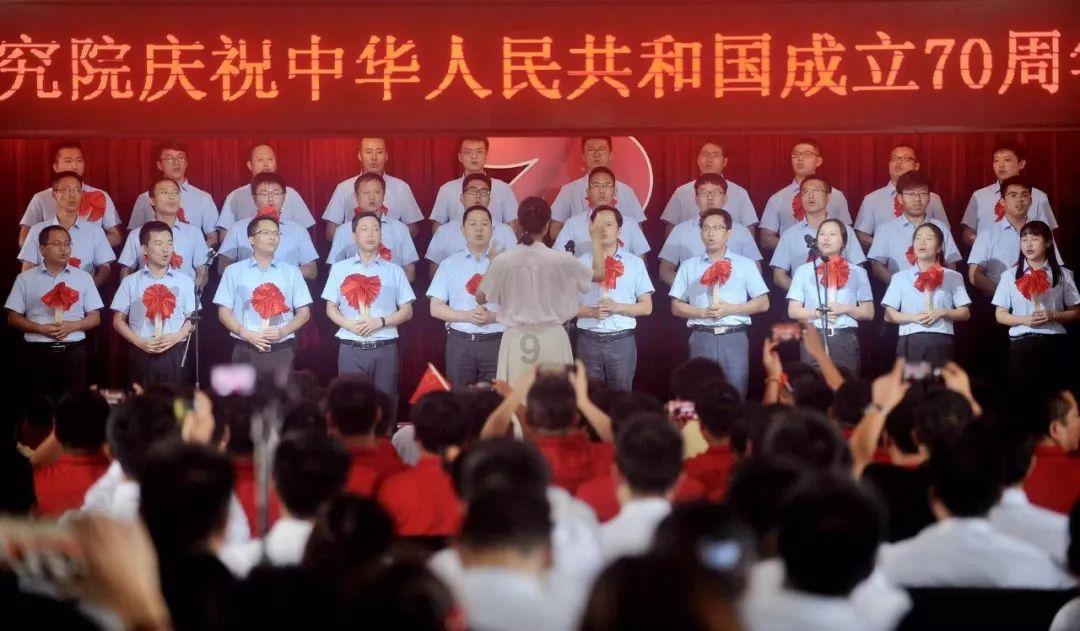 救援呆萌的猫